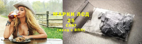 прущие грибы Никольск
