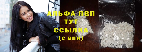 прущие крисы Зеленокумск