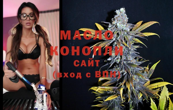сатива Лабытнанги