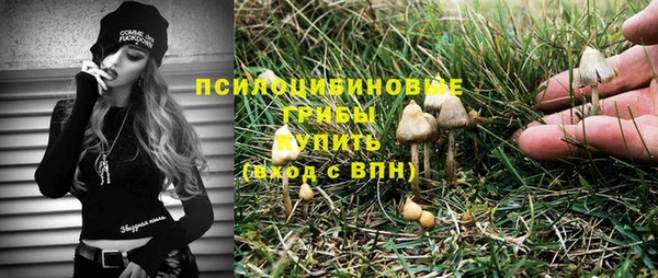 прущие крисы Зеленокумск